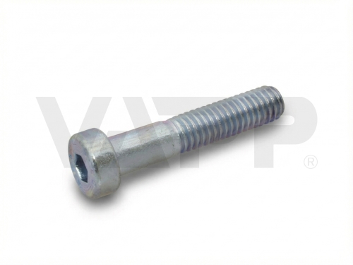 Skrutka s nízkou hlavou imbus M6x30, 8,8 zn